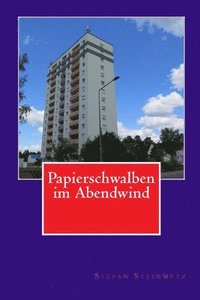 bokomslag Papierschwalben im Abendwind