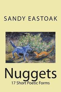 bokomslag Nuggets: 17 Short Poetic Forms