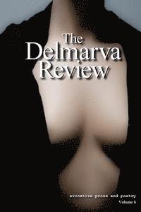 bokomslag The Delmarva Review: Volume 8