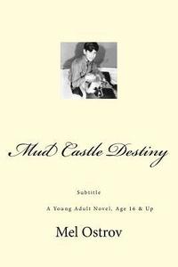 bokomslag Mud Castle Destiny: A Young Adult Novel, Age 16 & Up