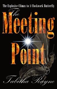 bokomslag The Meeting Point