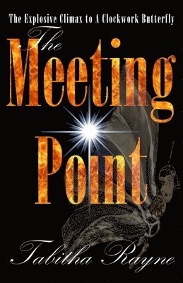 The Meeting Point 1