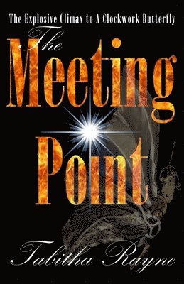 Tabitha Rayne - Meeting Point, Häftad