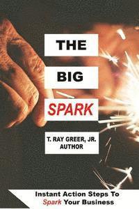 bokomslag The Big Spark: Instant Action Steps To Spark Your Business