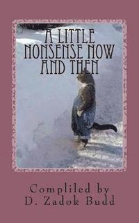 D. Zadok Budd - A Little Nonsense Now and Then, Häftad
