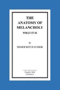 bokomslag The Anatomy Of Melancholy What It Is
