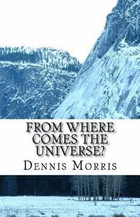 bokomslag From Where Comes the Universe?: A Layman's Guide to the Physics of Empty Space