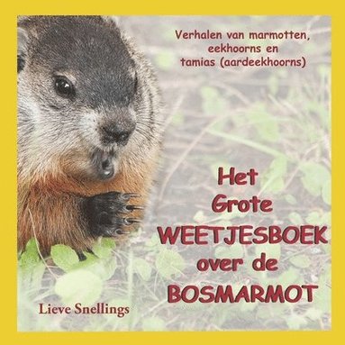 bokomslag Het Grote Weetjesboek over de bosmarmot