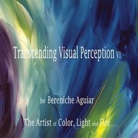 bokomslag Transcending Visual Perception