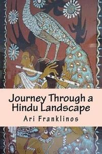 bokomslag Journey Through a Hindu Landscape