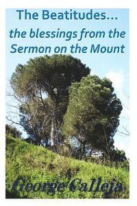 bokomslag The Beatitudes... the blessings from the Sermon on the Mount