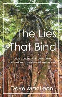 bokomslag The Lies That Bind: Understanding and overcoming the spiritual opposition set against you.