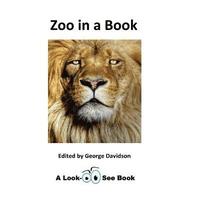 bokomslag Zoo in a Book