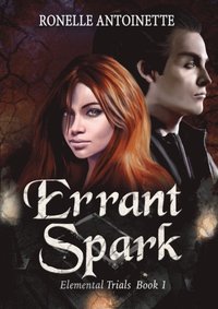 bokomslag Errant Spark