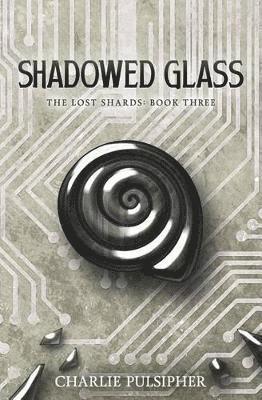 bokomslag Shadowed Glass