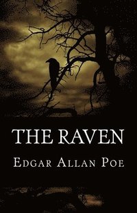 bokomslag Raven