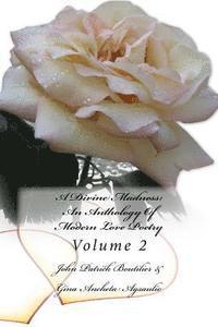 bokomslag A Divine Madness: An Anthology Of Modern Love Poetry: Volume 2