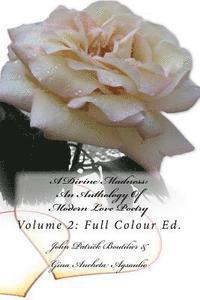 bokomslag A Divine Madness: An Anthology Of Modern Love Poetry: Volume 2: Full Colour Ed.