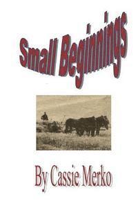 Cassie Merko - Small Beginnings, Häftad