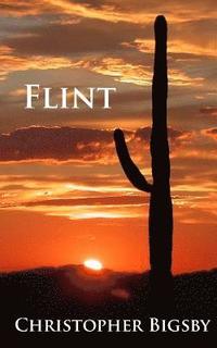 bokomslag Flint