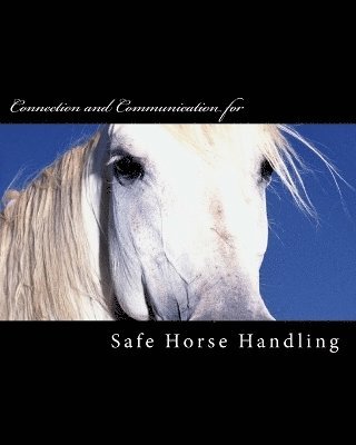 bokomslag Safe Horse Handling