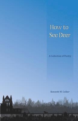 bokomslag How To See Deer: A Collection of Poetry