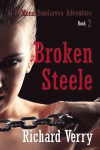 bokomslag Broken Steele