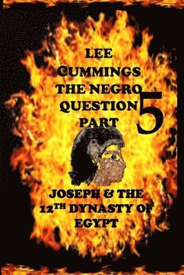 bokomslag The Negro Question Part 5 Joseph and the 12th dynasty of Egypt