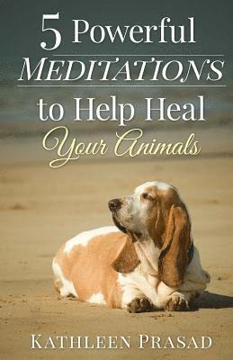 bokomslag 5 Powerful Meditations to Help Heal Your Animals