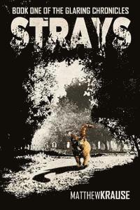 bokomslag Strays: Book One of The Glaring Chronicles