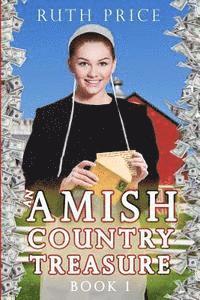 bokomslag An Amish Country Treasure Book 1