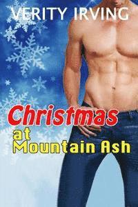 bokomslag Christmas at Mountain Ash