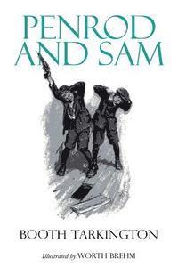 bokomslag Penrod and Sam: Illustrated