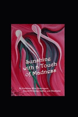 Sunshine With a Touch of Madness: Part I The Roller Coaster of Mental Illness 1