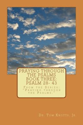 Praying through the Psalms Book Three: Psalm 28- 43: From the Series; Praying through the Psalms. 1