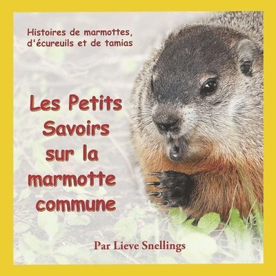 Les Petits Savoirs sur la marmotte commune 1