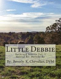 bokomslag Little Debbie
