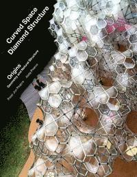 Aleta Pearce, Peter Jon Pearce - Curved Space Diamond Structure: Origins: Geometry and Natural Structure, Häftad
