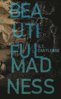 S. T. Cartledge - Beautiful Madness, Häftad. Tillgänglighet: Lägg i varukorg