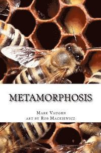 Metamorphosis 1