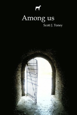 Scott J. Toney, Ivan Amberlake - Among us, Häftad