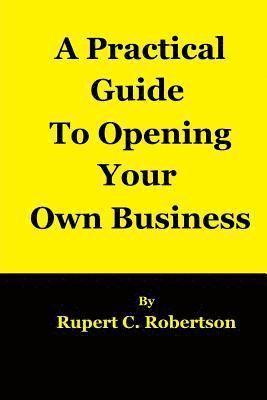 bokomslag A Practical Guide to Opening Your Own Business