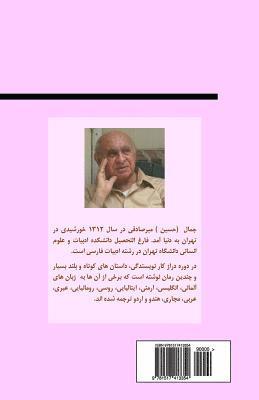 Jamal Mirsadeghi - Before Knowing It, You Fell in Love (Persian/Farsi Edition), Häftad