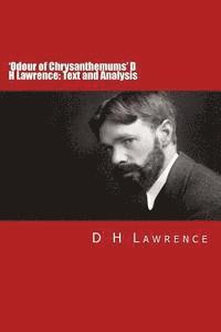 bokomslag 'Odour of Chrysanthemums' D H Lawrence: Text and Analysis