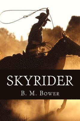 bokomslag Skyrider