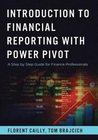 bokomslag Introduction to Financial Reporting with PowerPivot: A Step by Step Guide for Finance Professionals
