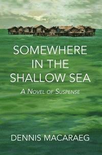 bokomslag Somewhere in the Shallow Sea: A Novel of Suspense