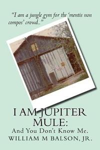 bokomslag I am Jupiter Mule: : And You Have Never Met Me