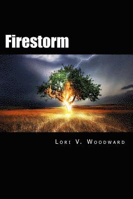 bokomslag Firestorm: Book One of the Sokucha Stones Trilogy