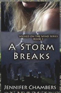bokomslag A Storm Breaks